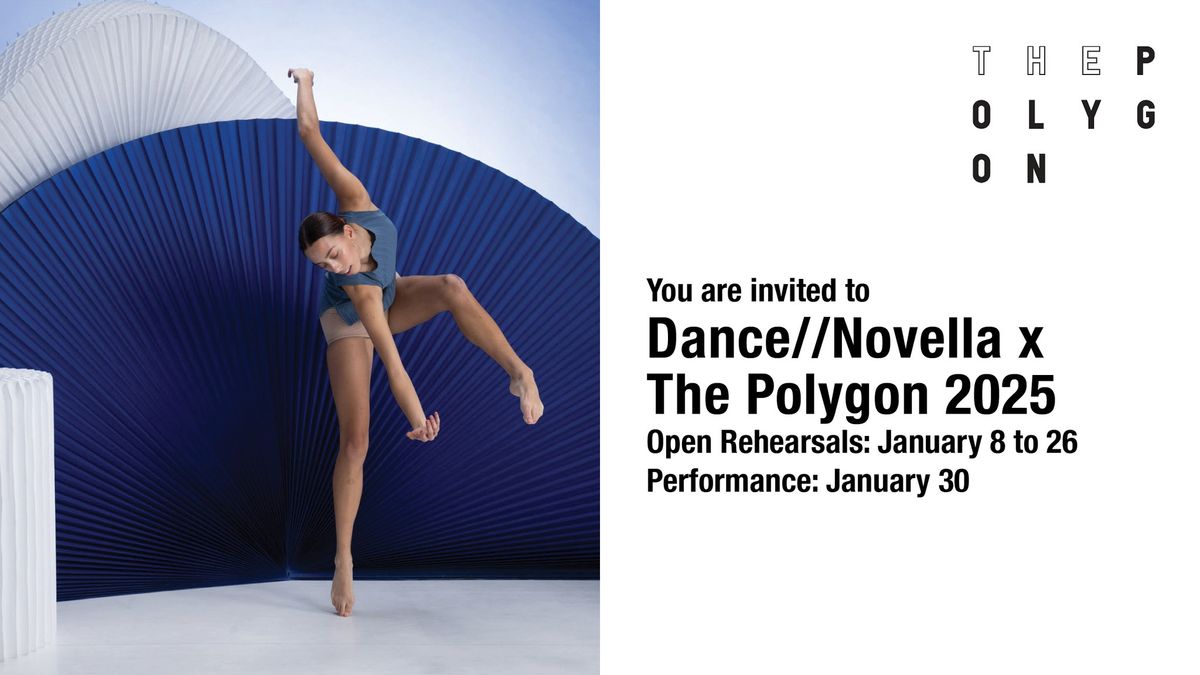 Dance\/\/Novella x The Polygon 2025