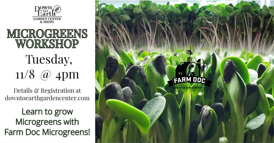 Microgreens Workshop With Farm Doc Down To Earth Garden Center Eau microgreens-workshop-with-farm-doc-down-to-earth-garden-center-eau