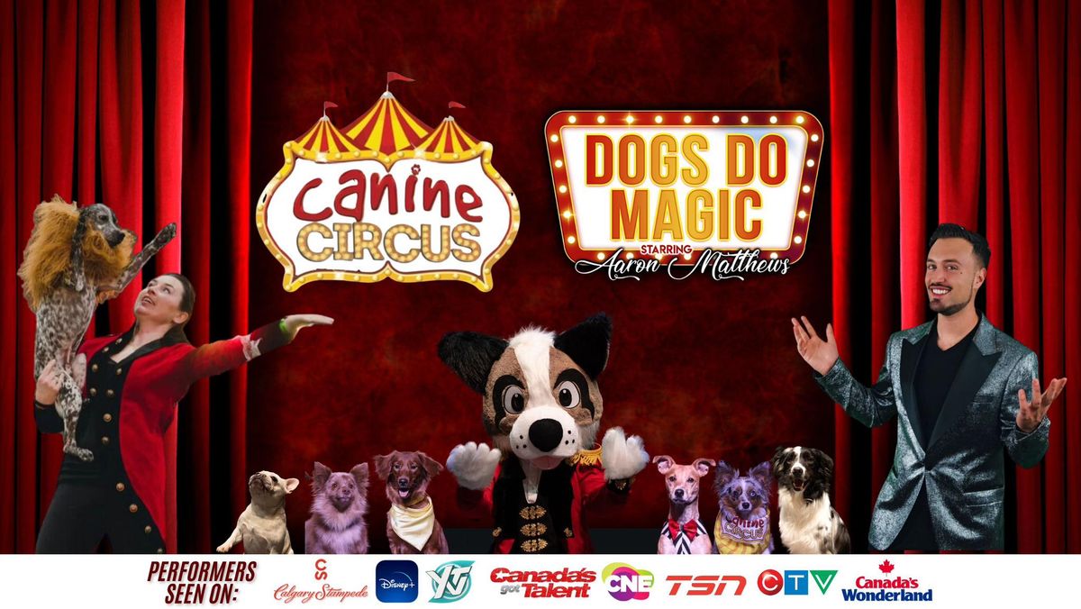 Dogs Do Magic - Barrie