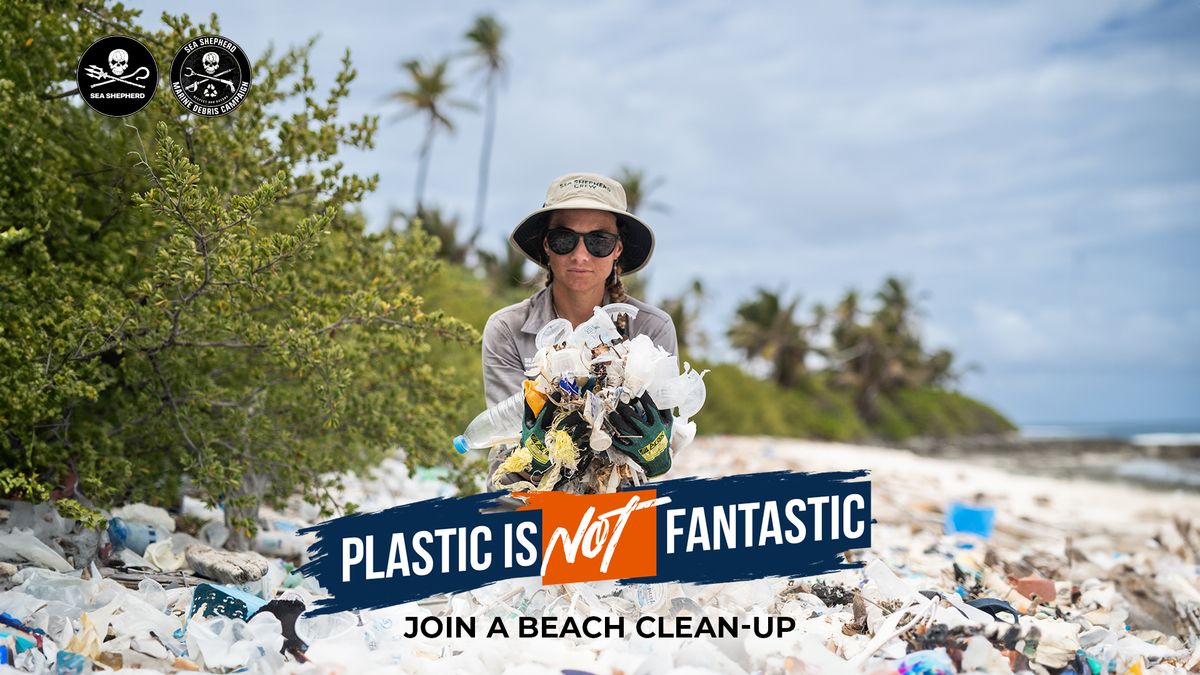 Darwin, NT: Nightcliff Beach clean-up: Marine Debris Campaign 