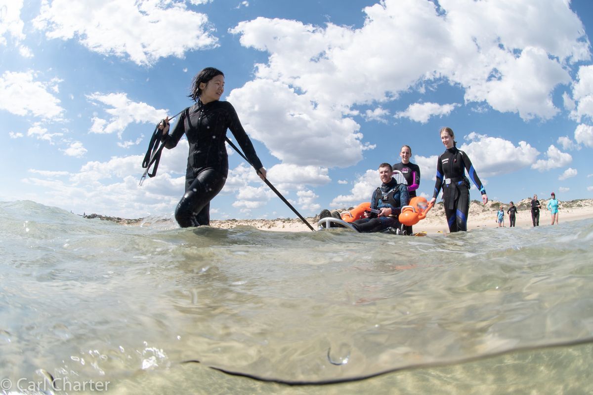 Snorkel Second Valley Beach to Celebrate Encounter MP as Park of the Month - 23rd March