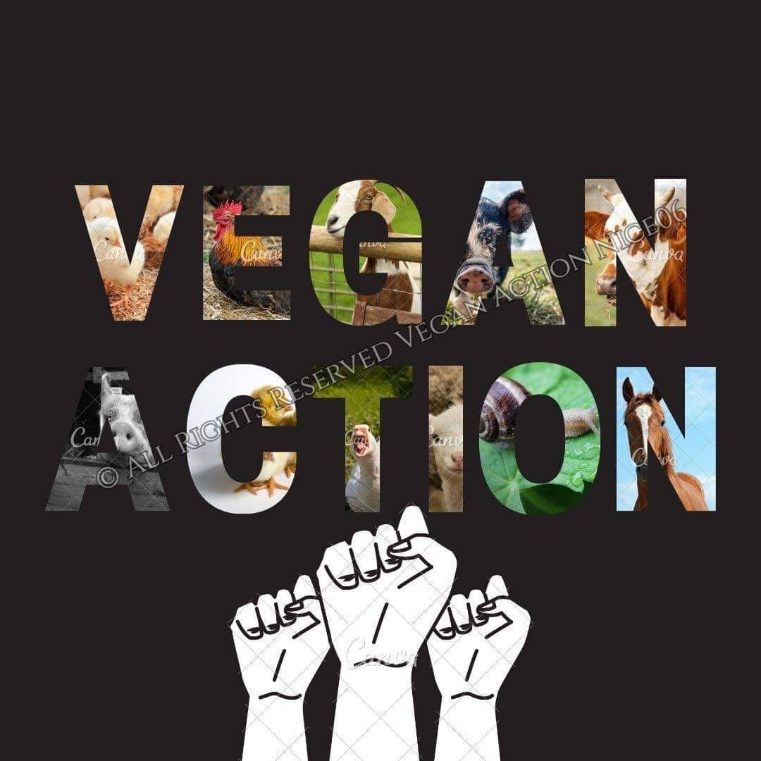 Vegan Action 