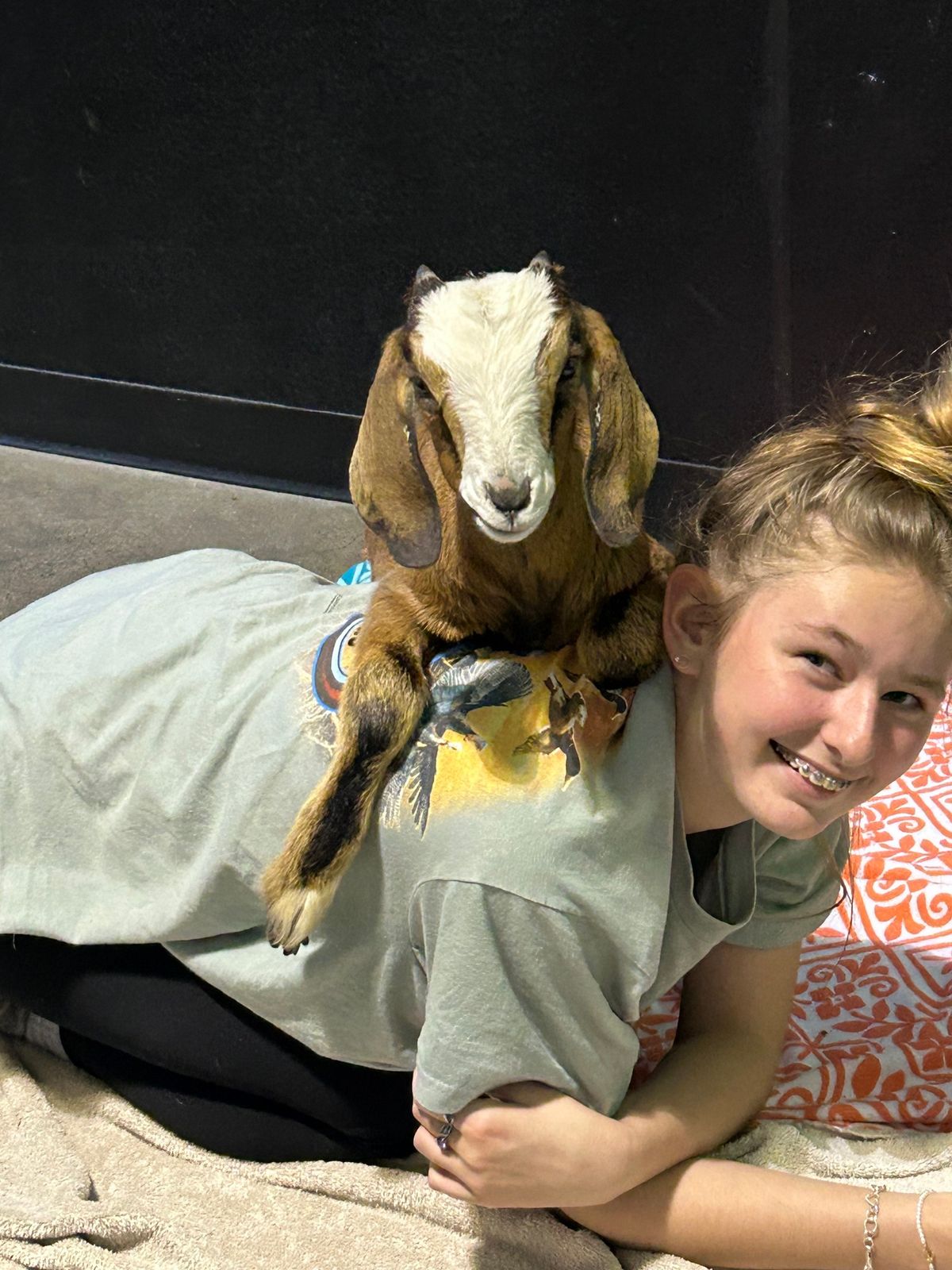 Goat yoga at Soundside Waterfront Bar