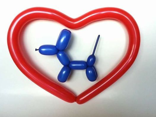 資格が取れる1day6時間 バルーンアート認定資格講座 Pin東京都新宿区西新宿7 10 17 Minato 22 May 21