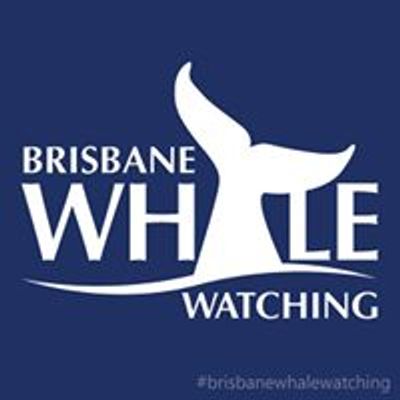 Brisbane Whale Watching