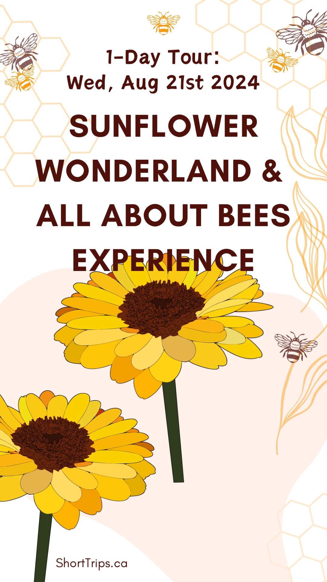 Sunflower Wonderland & All About Bees Experience