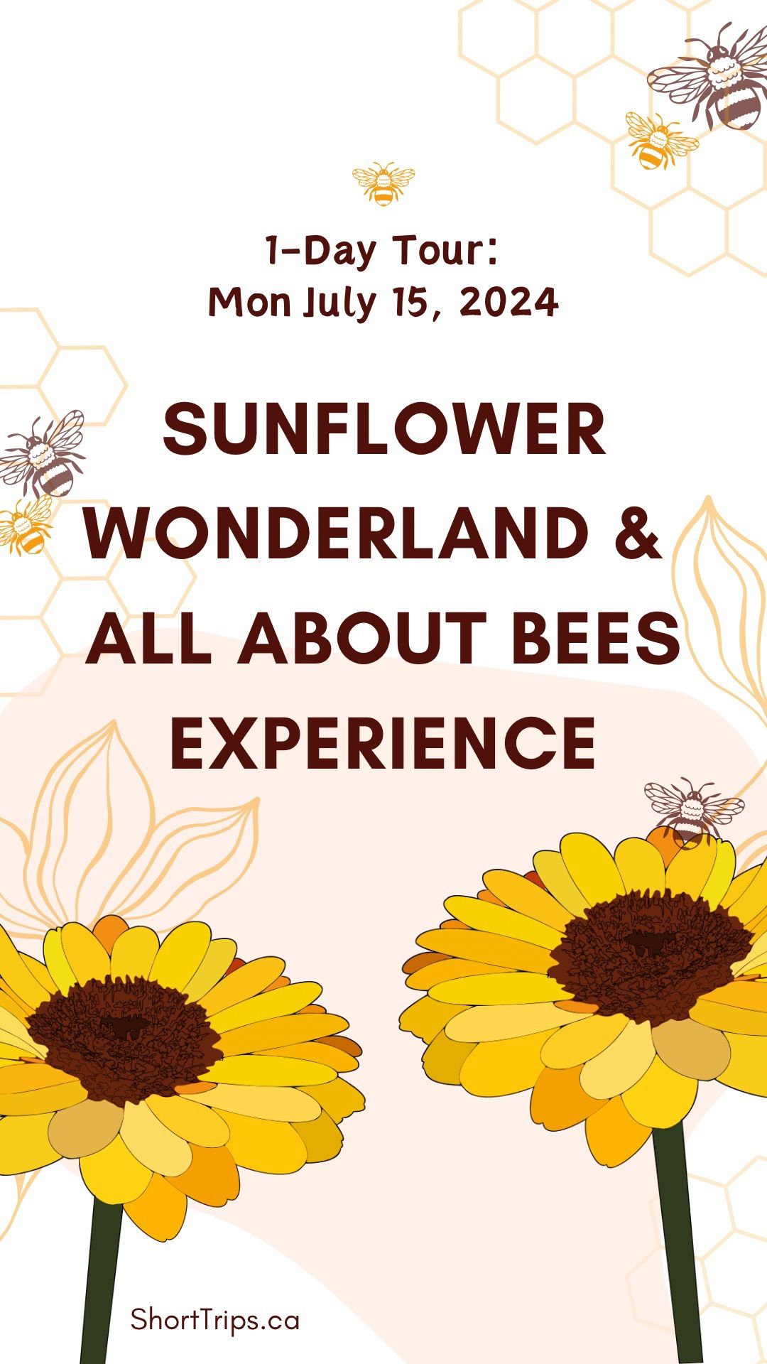 Sunflower Wonderland & All About Bees Experience