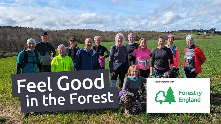 Feel Good in the Forest: Guided Jog & Walk