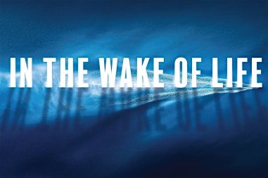 In The Wake of Life Six Plays at Tree Fort Productions