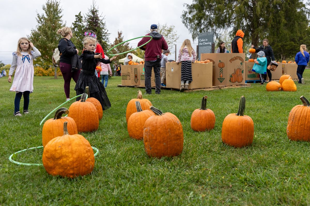 The Great Pumpkin Fest at Keehner Park