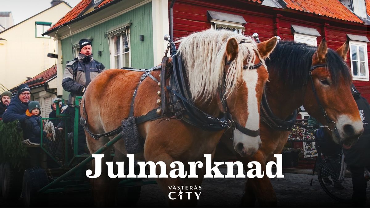 Julmarknad - V\u00e4ster\u00e5s City