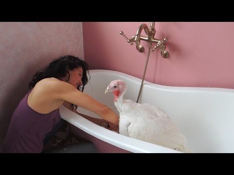 Turkey Bath (limited space)