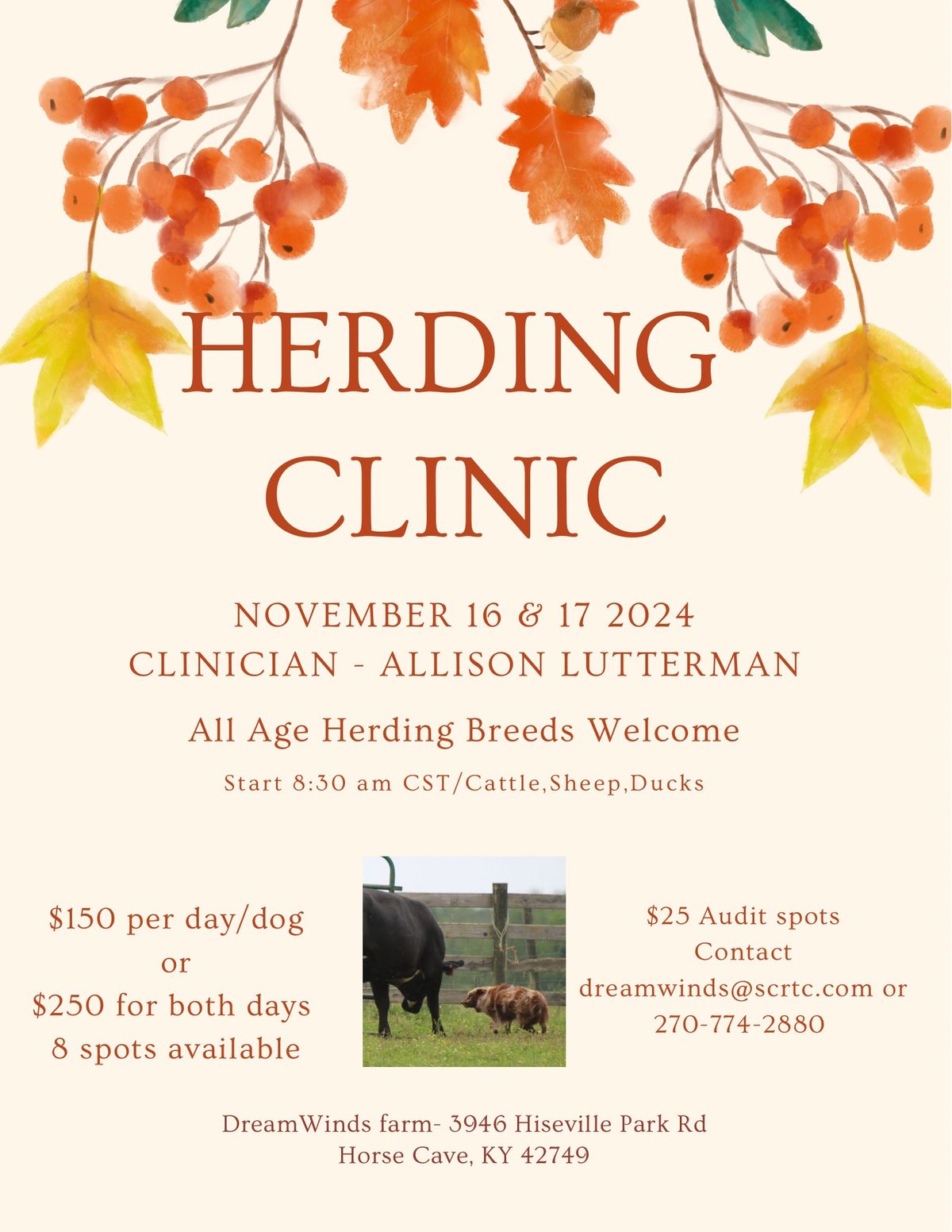 Herding Clinic