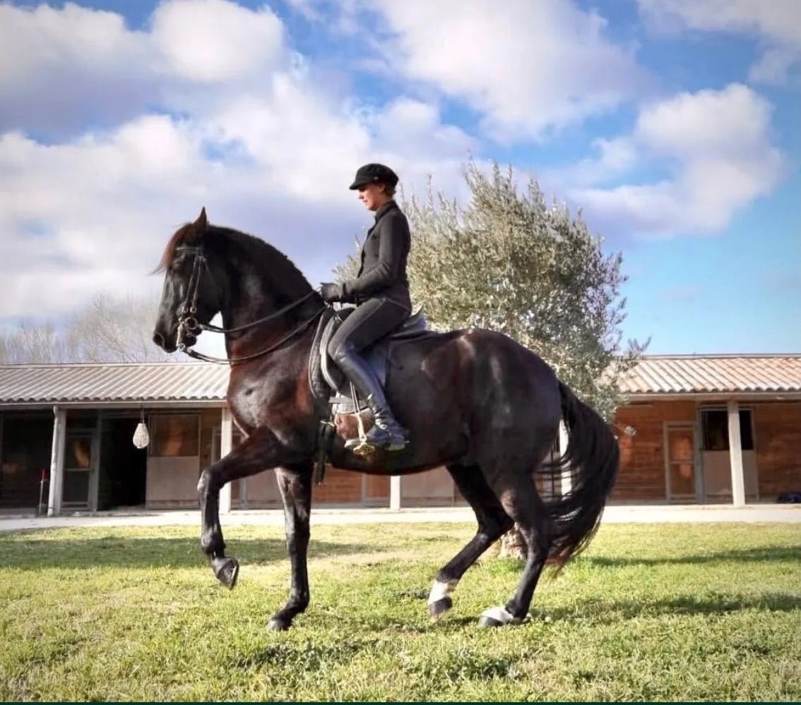 French Classical Riding With Pippa Callanan 