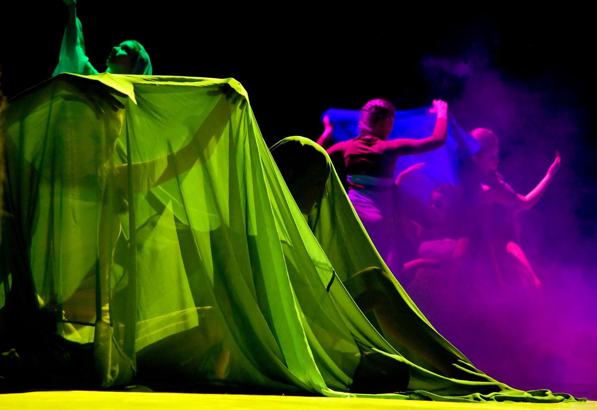 Circa - Duck Pond at Southbank Centre - Royal Festival Hall