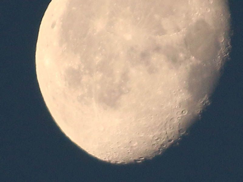 Wolf Moon Night Hike