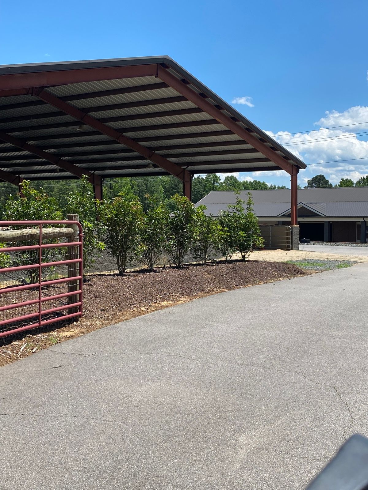 Hatha Equus Co-creational Horsemanship Clinic