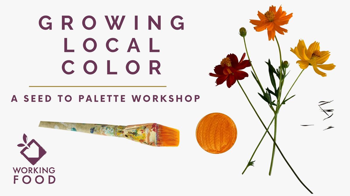 Growing Local Color: A Seed to Palette Workshop