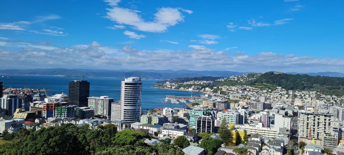 LIANZA Libraries & Information Futures - Wellington Regional Hui