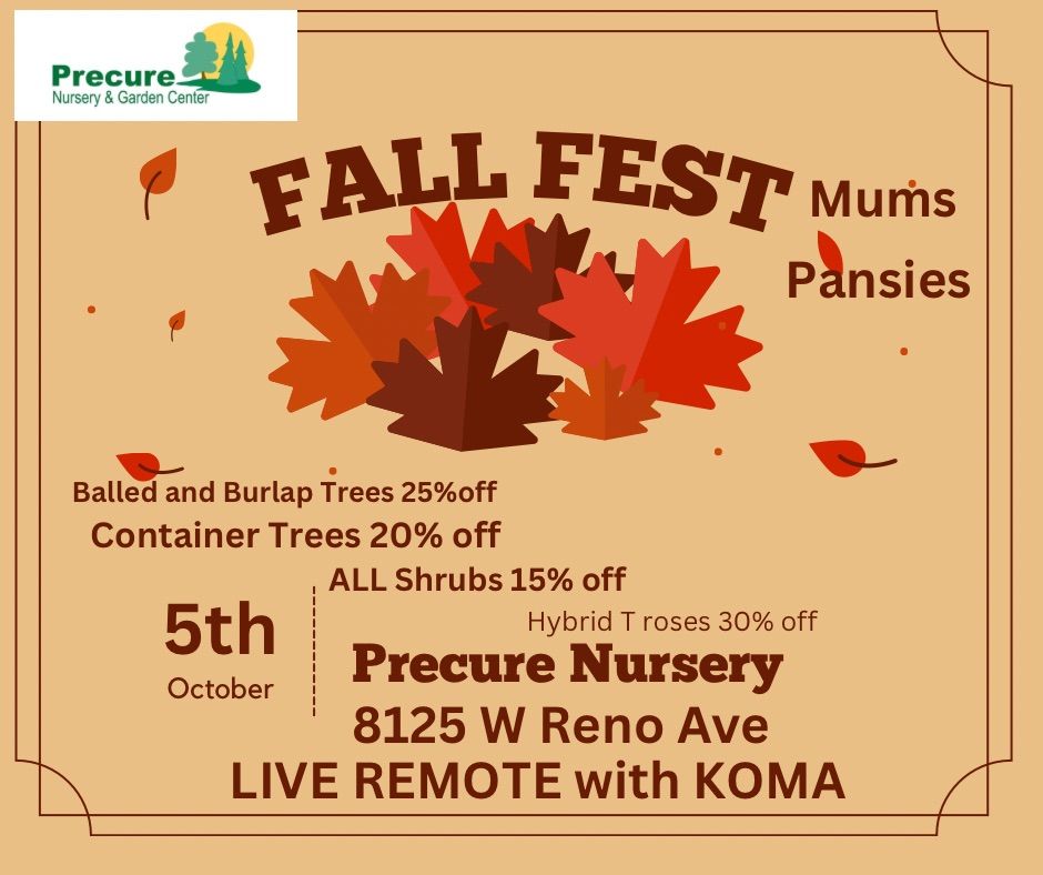 Fall Fest at Precure Nursery