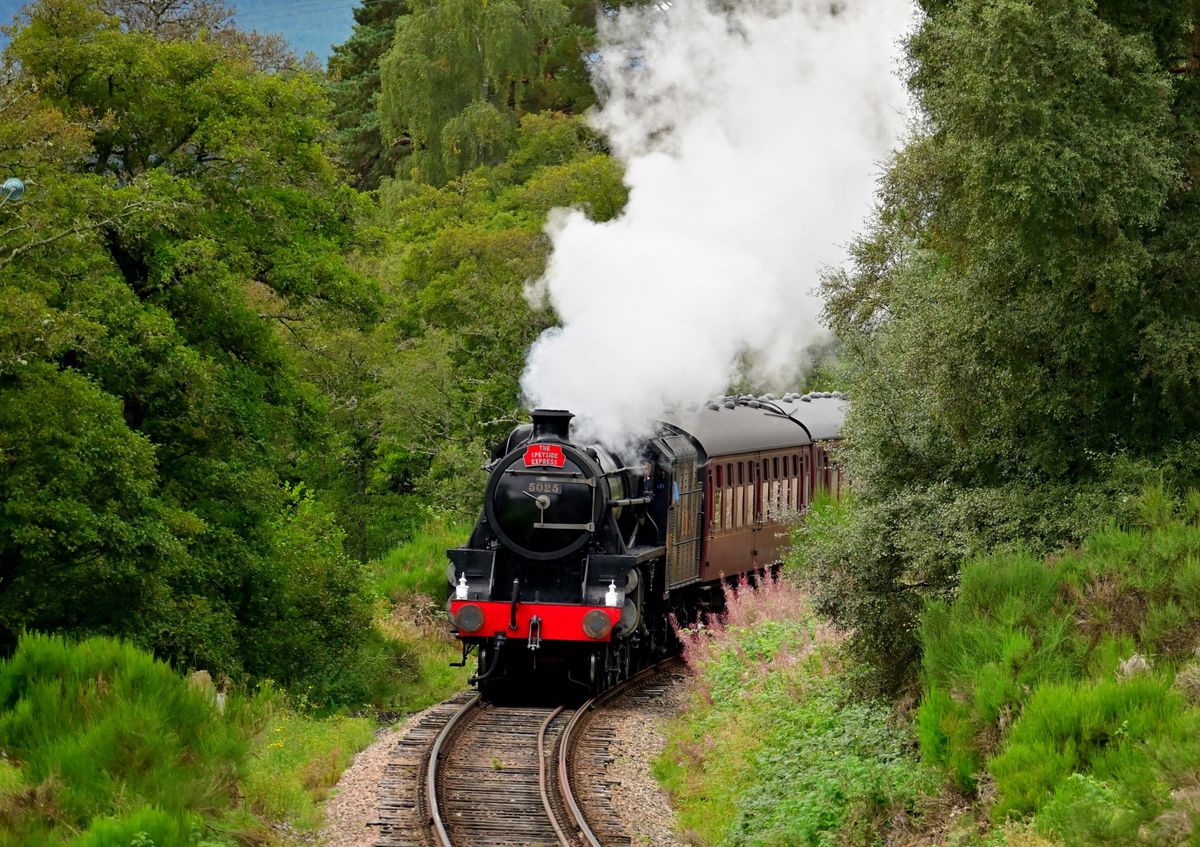 February family Steam* Train rides on our Highland Heritage line