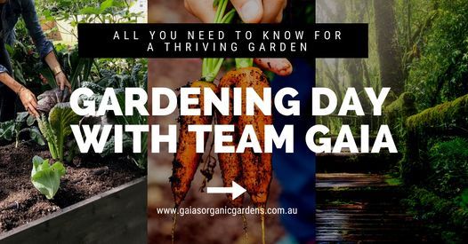 Gardening Day with Team Gaia September 2021