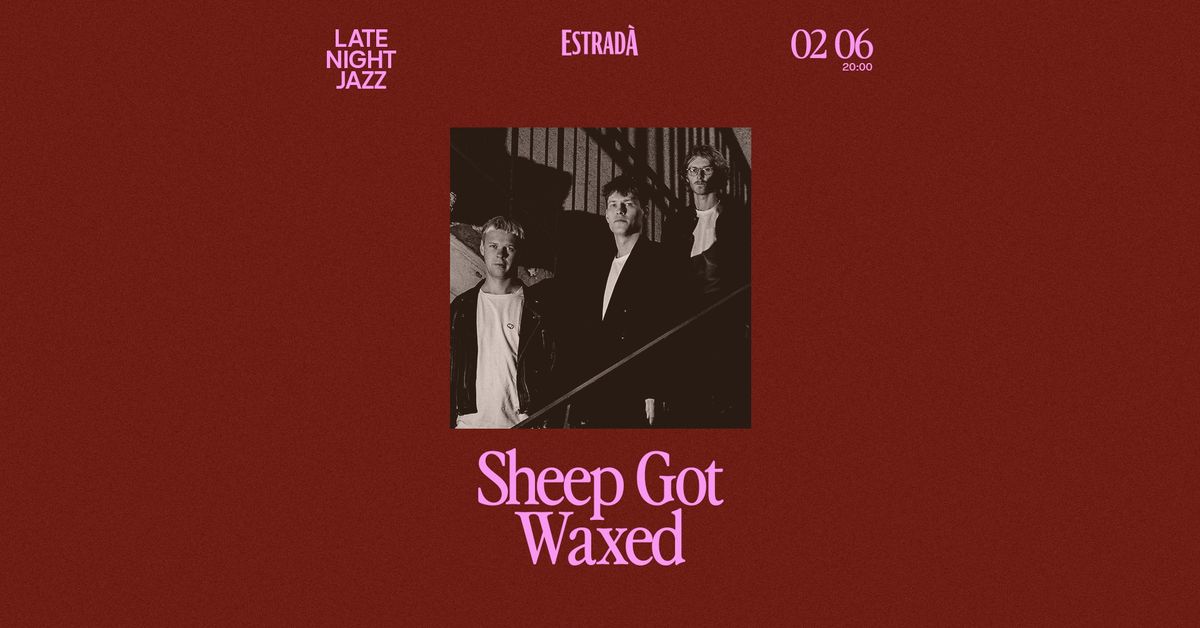 Late Night Jazz: Sheep Got Waxed