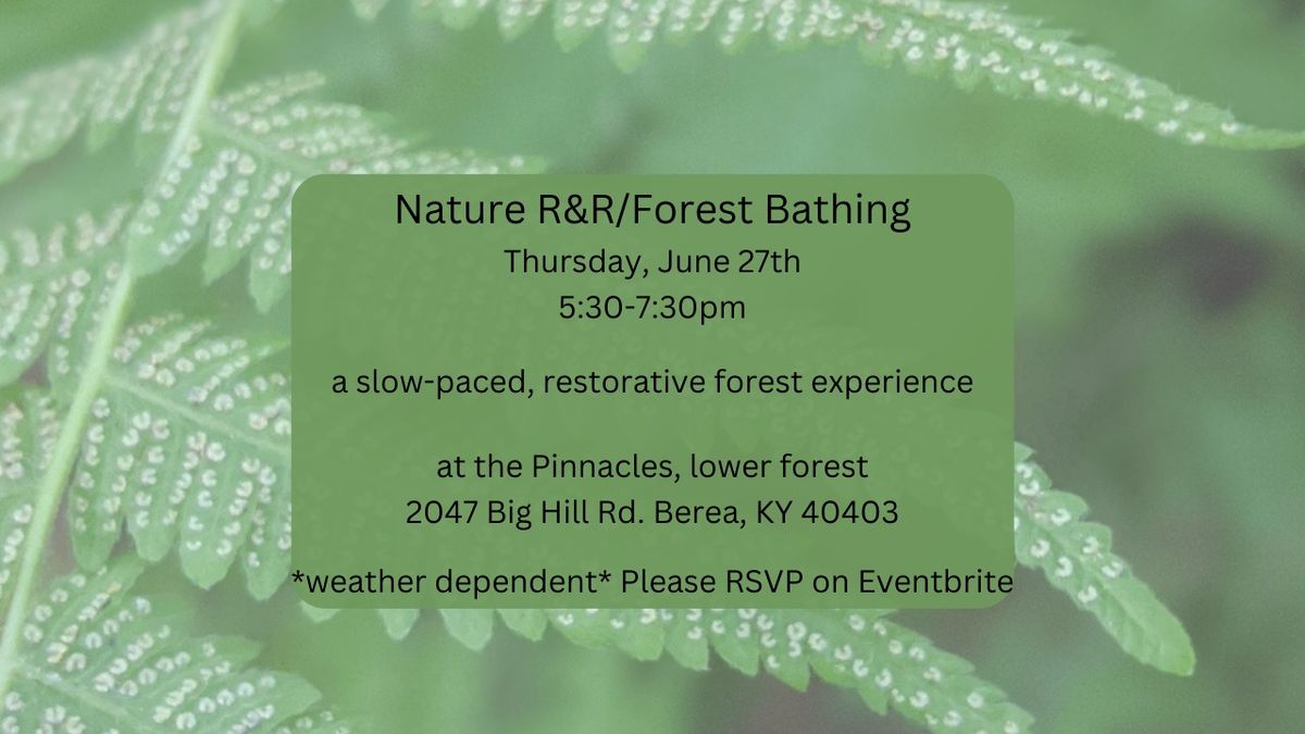 Nature R&R \/ Forest Bathing