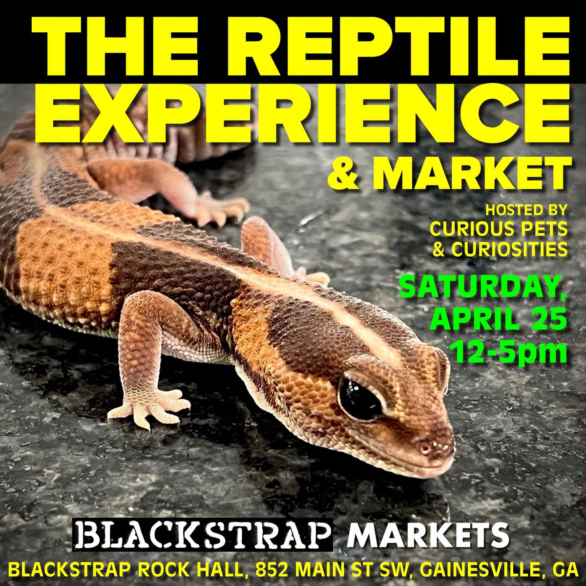 The Reptile Experience & Market at Blackstrap