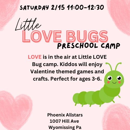 Little Love Bug\u2019s Camp