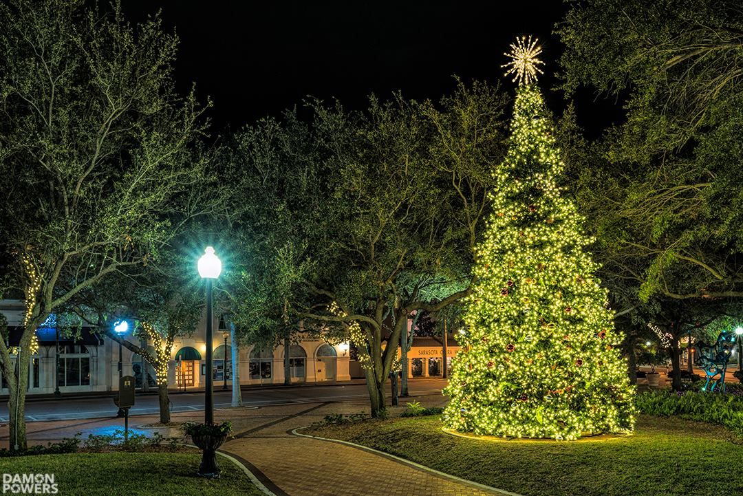 Downtown Sarasota's Historic Christmas Tree Lighting