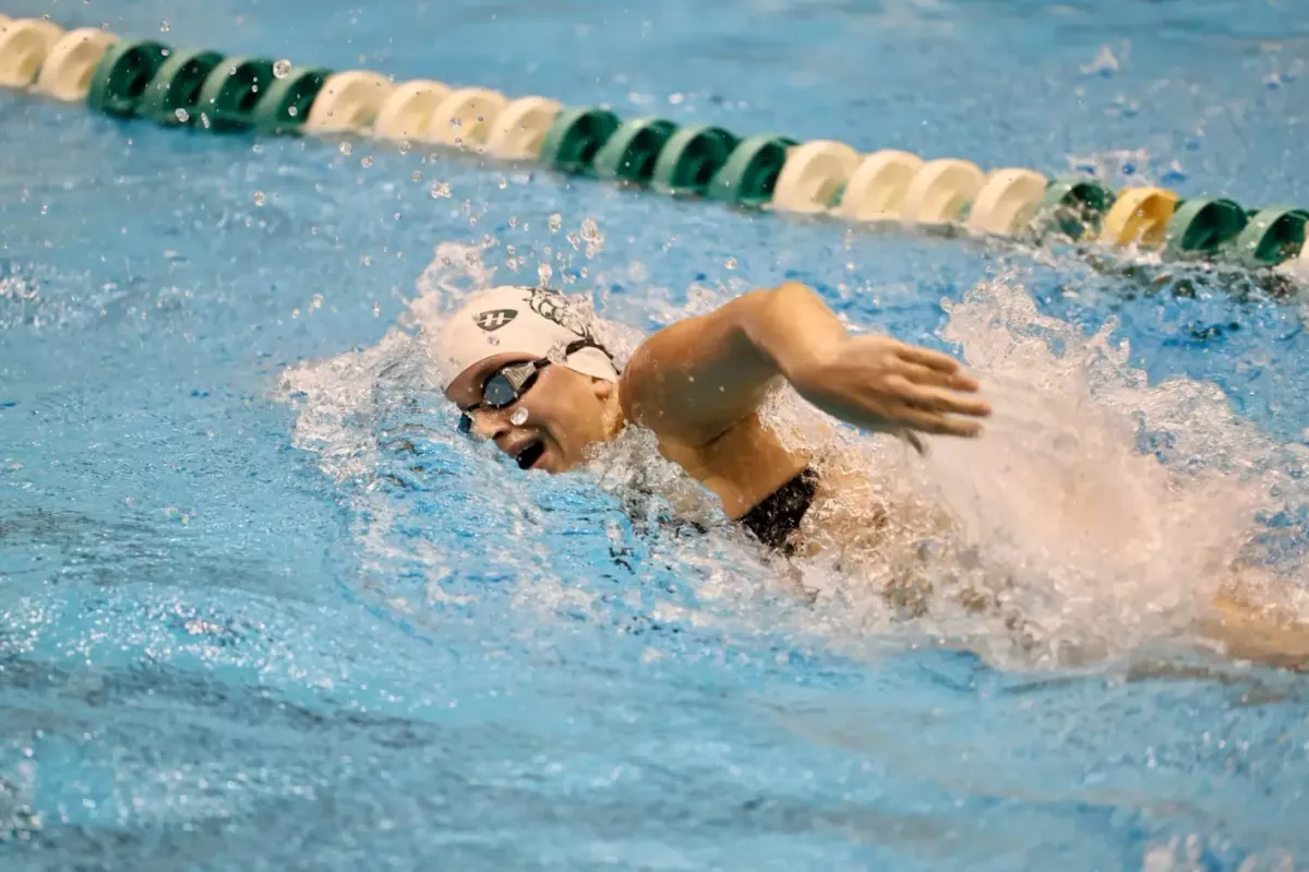Valparaiso Beacons at Cleveland State Vikings Mens Basketball