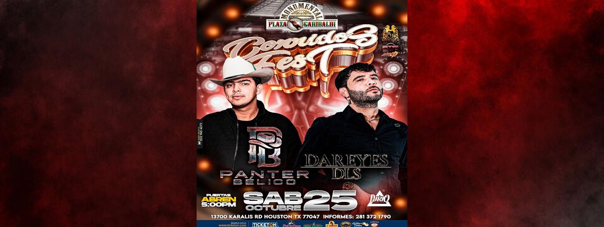 PANTER BELICO & DAREYES DLS