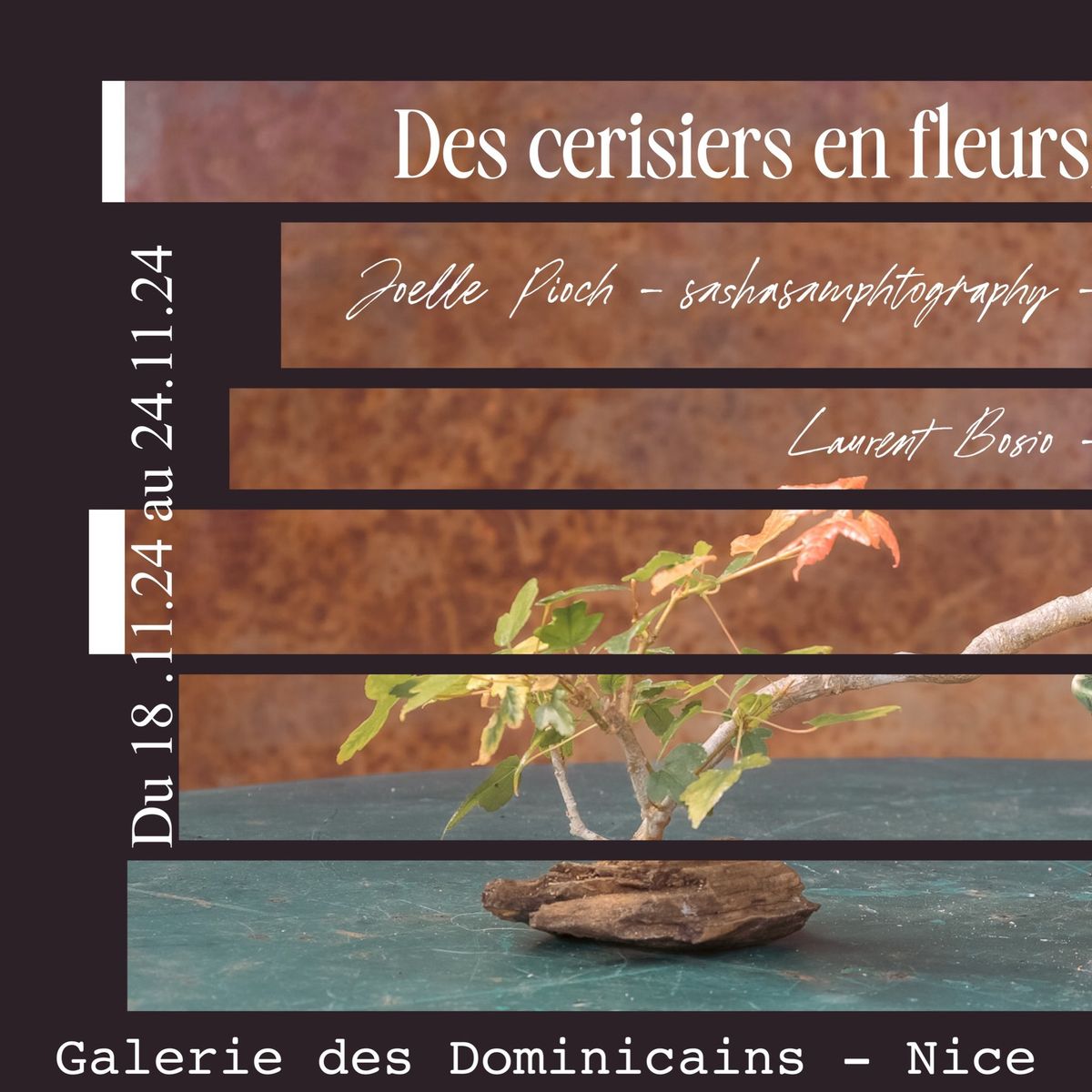 Des cerisiers en fleurs le temps d\u2019apr\u00e8s : happening musical le jeudi 21 novembre \u00e0 19H