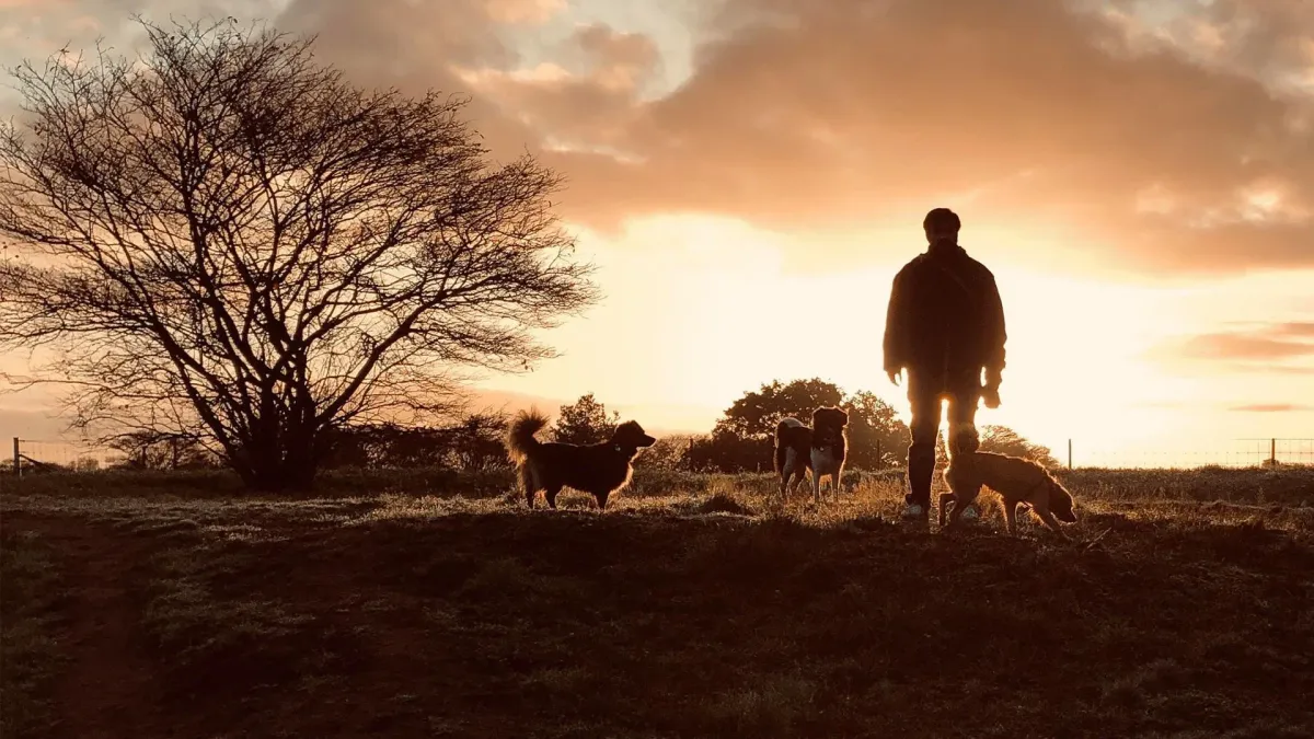 The Wanderer in Groningen