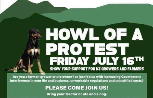 GROUNDSWELL Wairarapa 'Howl of a Protest'
