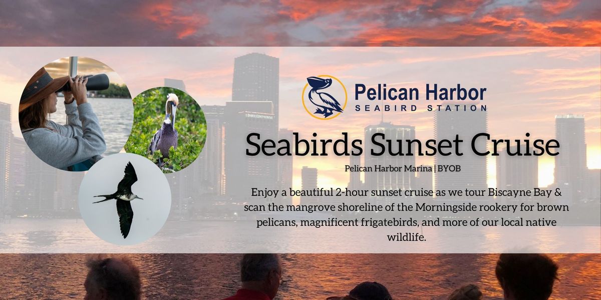 Sunset Seabird Cruise  \ud83c\udf07 