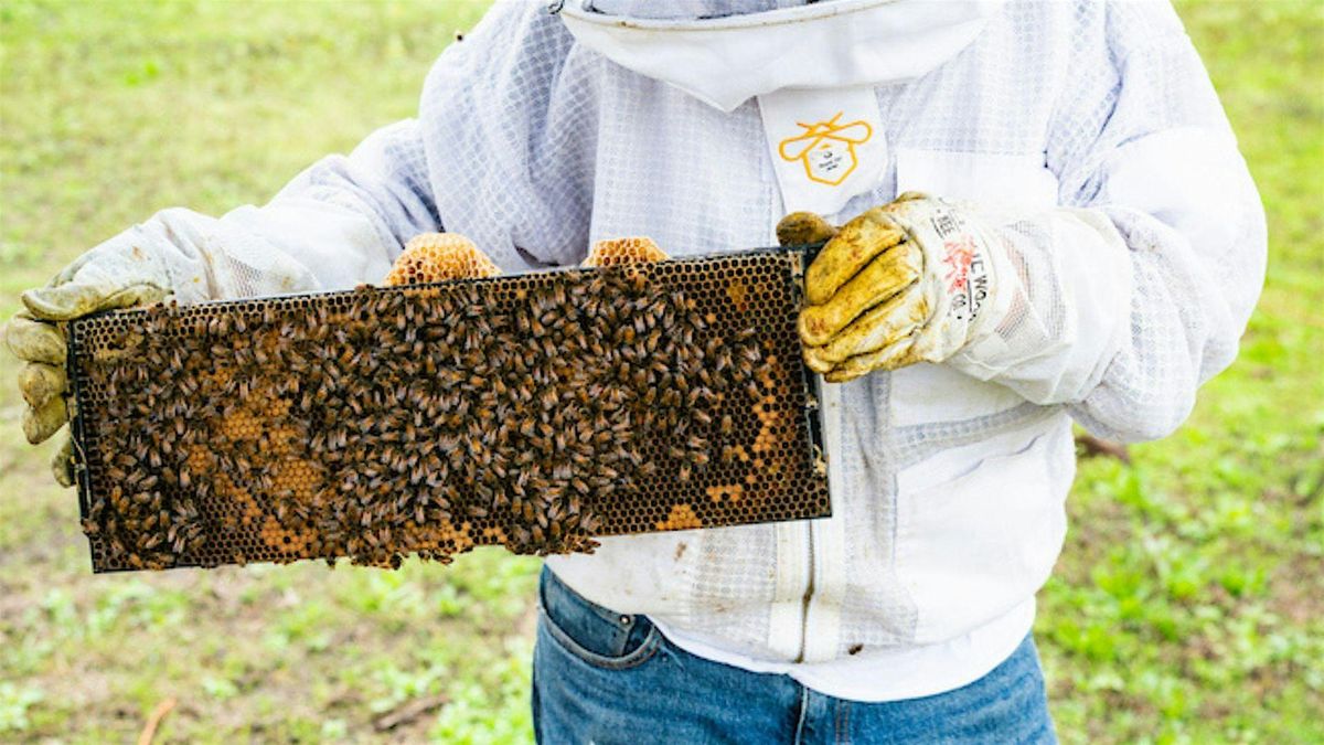 Intro to Beekeeping with Anna Bee's Honey