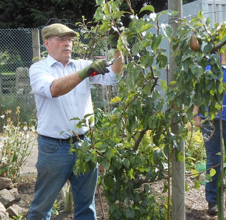 Caley Winter Talk: "A Life in Horticulture" - George Anderson