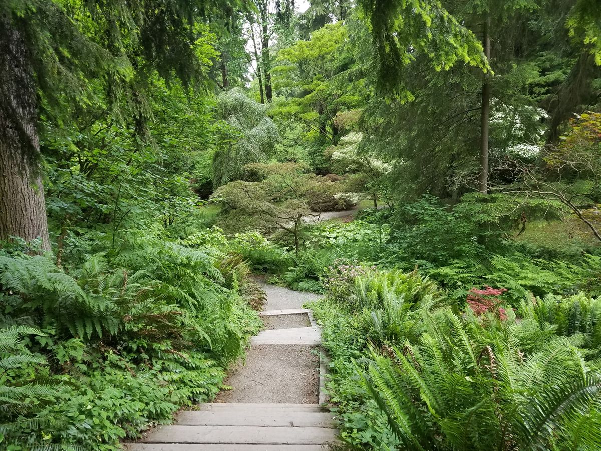 Outdoor Wellness Fridays with UW Botanic Gardens
