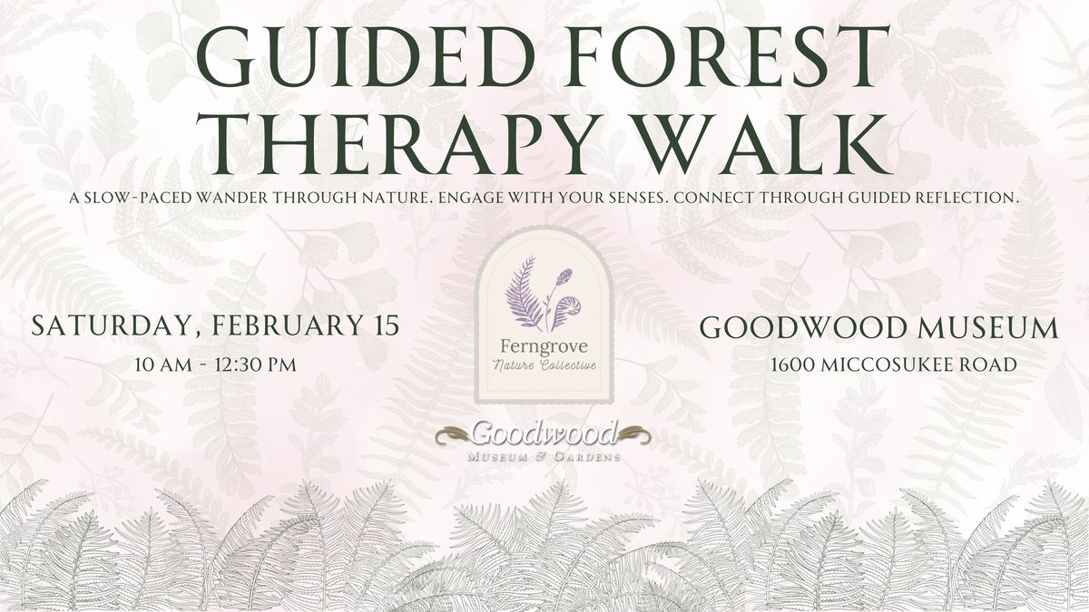 Guided Forest Therapy Walk at Goodwood