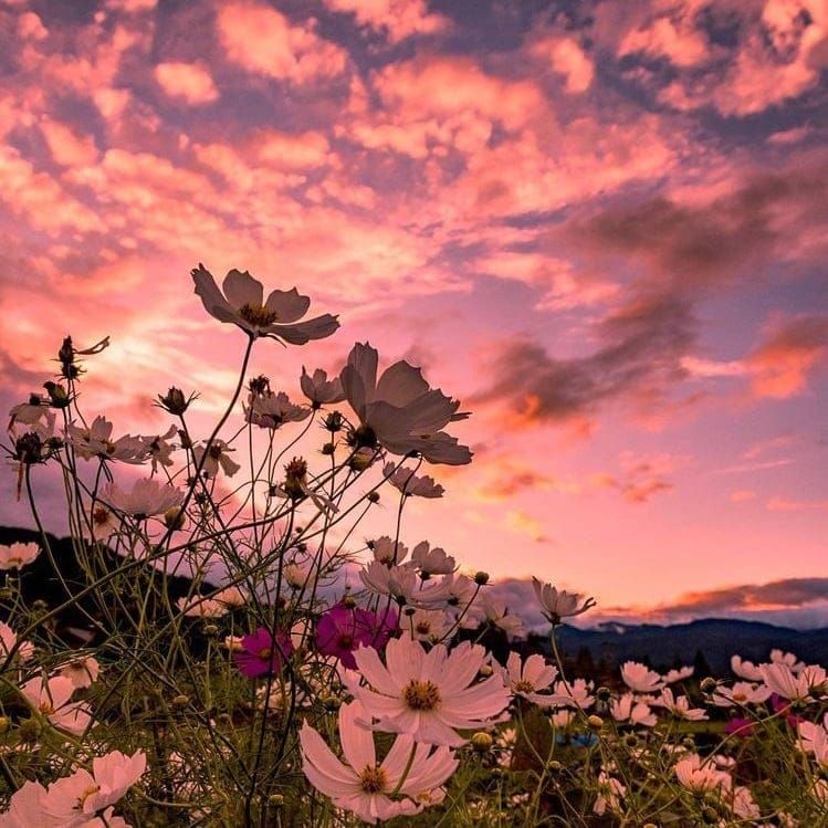 Spiritual Wellness Centre Dunedin 