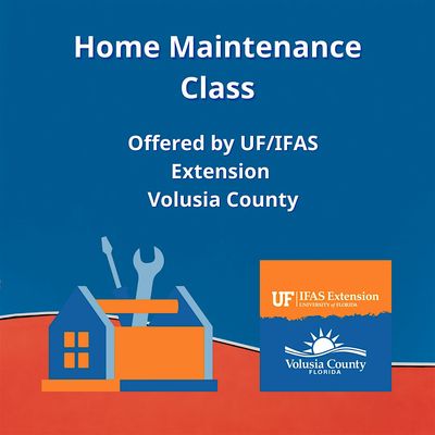 Home Maintenance Class Volusia - Lisa Hamilton
