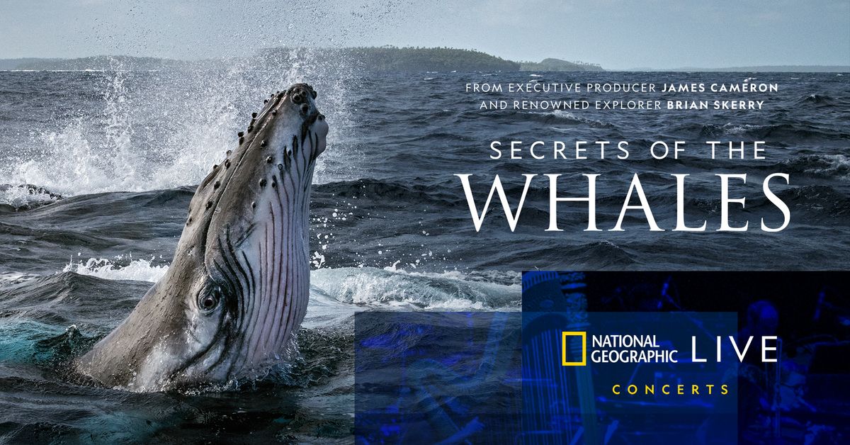 Secrets of the Whales