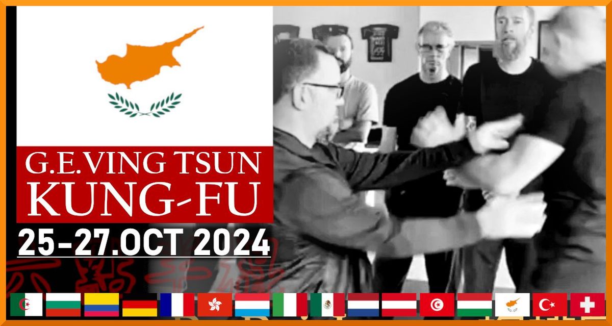 CYPRUS Ving Tsun (Wing Chun) Seminar