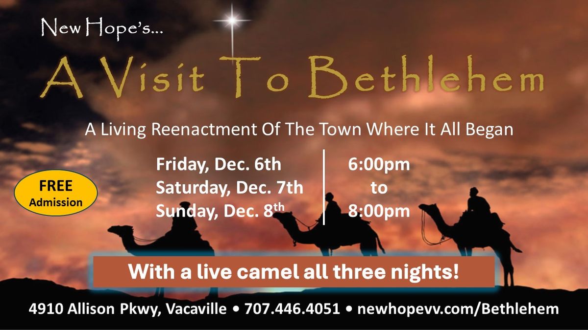 A Visit to Bethlehem