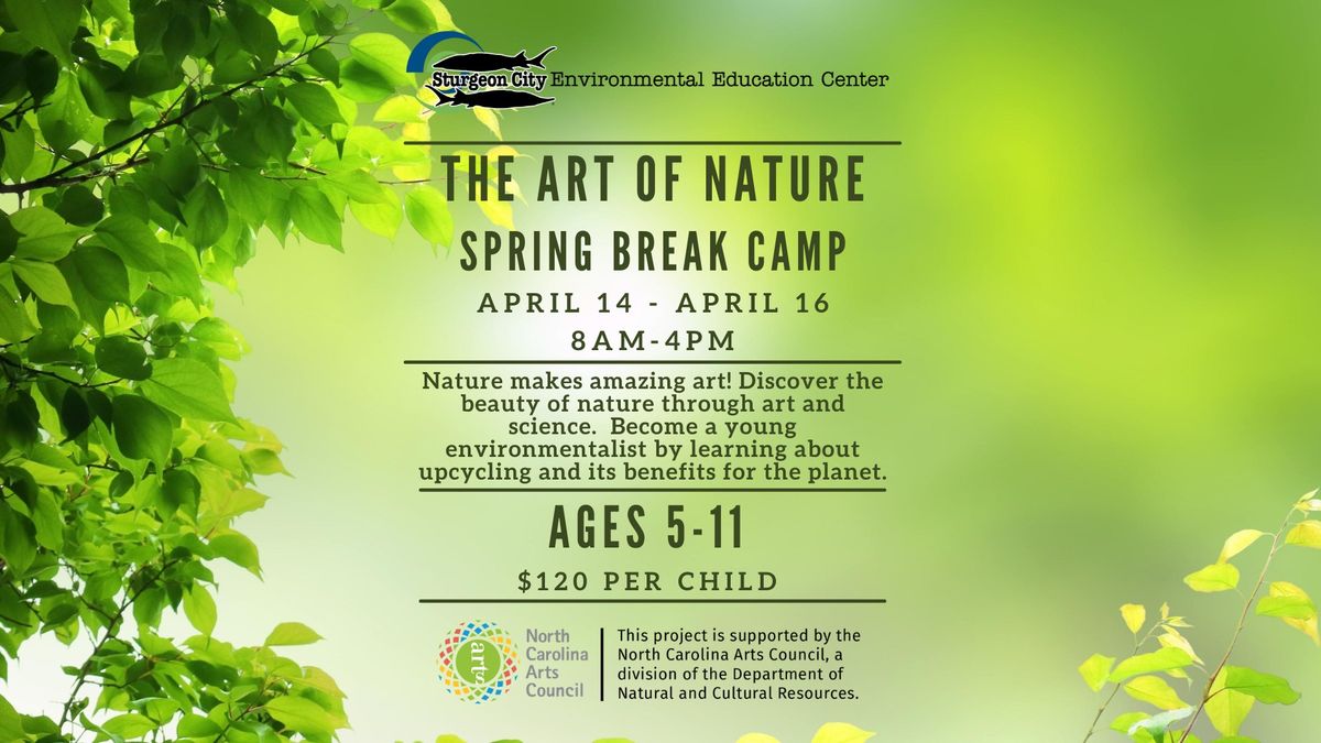 The Art of Nature Spring Break Camp