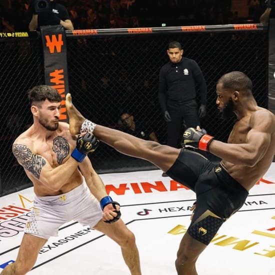 HEXAGONE MMA au Z\u00e9nith de Paris - Janvier 2026 \u2013 La Villette