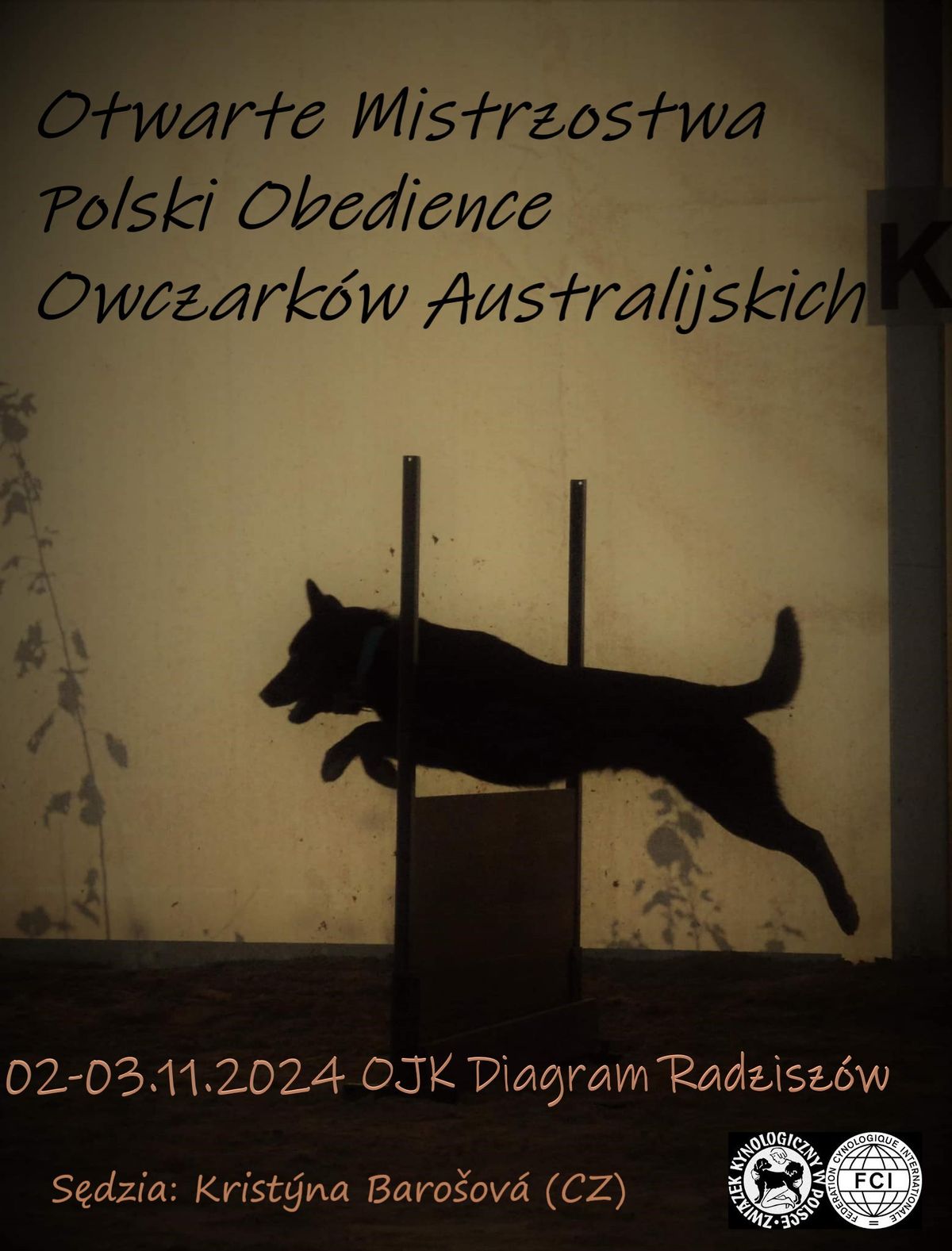 Otwarte Mistrzostwa Polski Obedience Owczark\u00f3w Australijskich 02-03.11.2024 