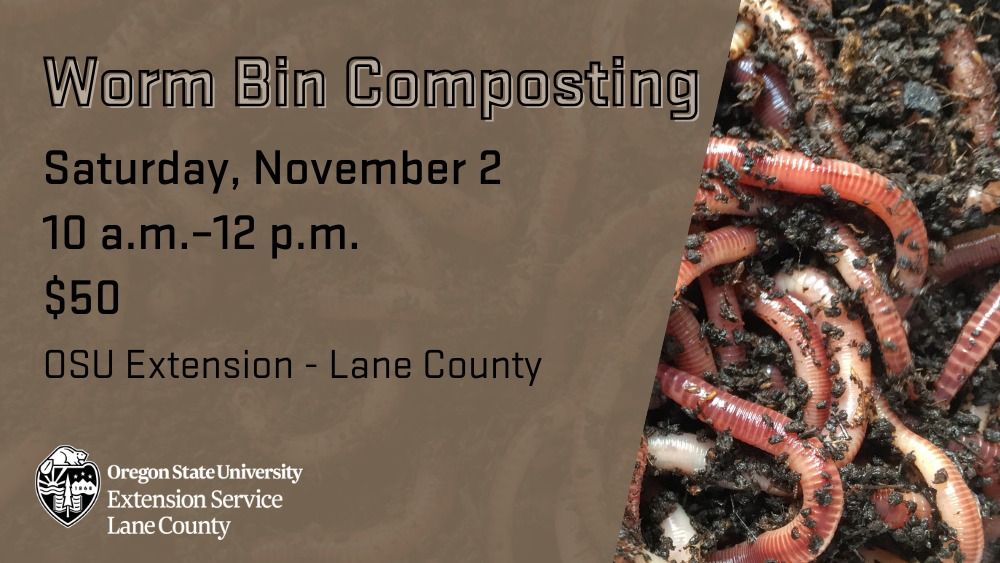 Worm Bin Composting Workshop